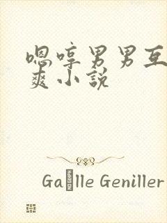 嗯哼男男互操很爽小说