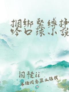 捆绑紧缚挣扎呻吟口球小说