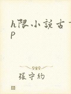 h限小说古言np