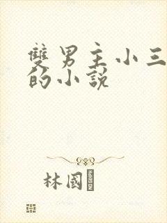 双男主小三上位的小说