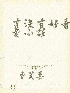 有没有好看的恋爱小说