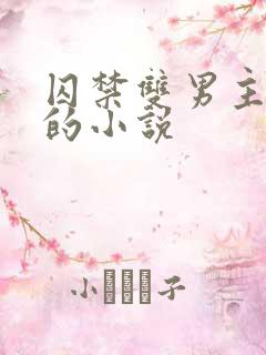 囚禁双男主生子的小说