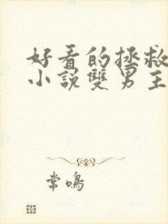 好看的拯救反派小说双男主