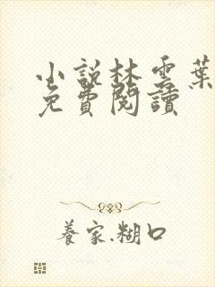 小说林云叶婉清免费阅读