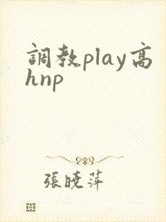 调教play高hnp