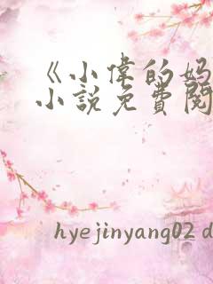 《小伟的妈妈》小说免费阅读