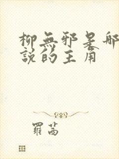 柳无邪是哪本小说的主角