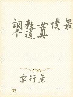 调教女仆最后一个道具