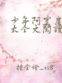 少年阿宾房东太太全文阅读