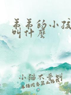 弟弟的小孩叫我叫什么