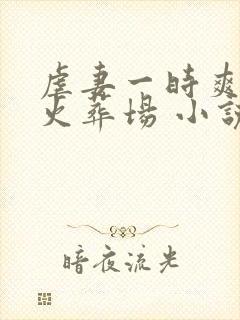 虐妻一时爽追妻火葬场 小说