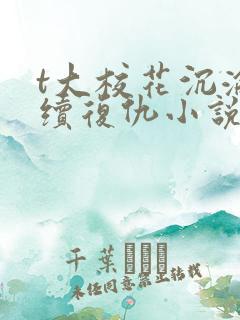 t大校花沉沦后续复仇小说