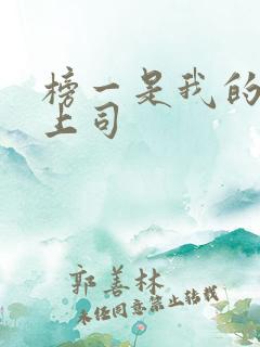 榜一是我的顶头上司