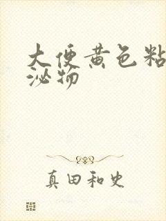 大便黄色粘液分泌物