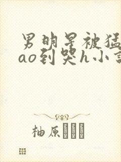 男明星被猛男cao到哭h小说