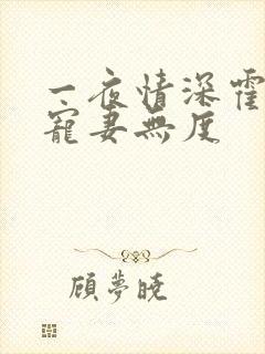 一夜情深霍先生宠妻无度