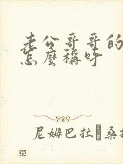 老公哥哥的老婆怎么称呼