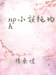 np小说纯肉高h