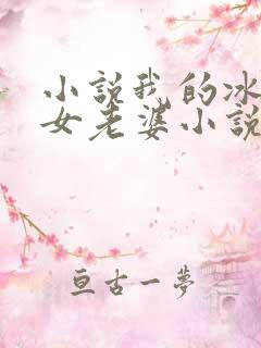 小说我的冰山美女老婆小说