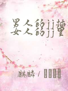 男人的jj插进女人的jj里视频