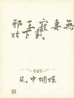 邪王宠妻无度txt下载