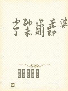 少帅你老婆又跑了未删节