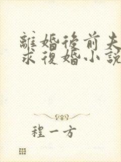 离婚后前夫哭着求复婚小说阅读免费