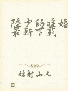 陆少的暖婚新妻最新下载