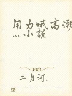 用力哦高潮喷了…小说