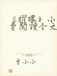 《耀眼》小说免费阅读全文