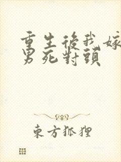 重生后我嫁给渣男死对头