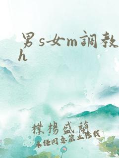 男s女m调教高h