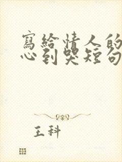 写给情人的话暖心到哭短句