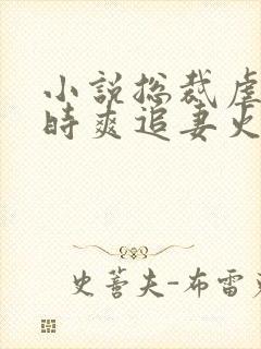 小说总裁虐妻一时爽追妻火葬场