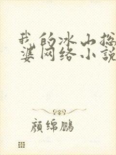 我的冰山总裁老婆网络小说