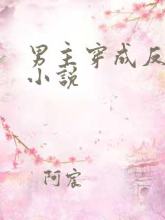 男主穿成反派的小说