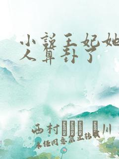 小说王妃她又给人算卦了