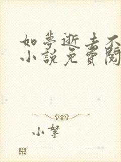 如梦逝去不可追小说免费阅读