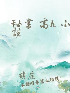 秘书 高h 小说