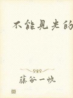 不能见光的感情