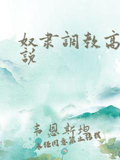 奴隶调教高h小说