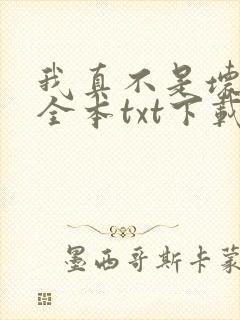 我真不是坏男人全本txt下载