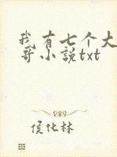 我有七个大佬哥哥小说txt