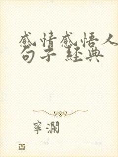 感情感悟人生的句子 经典