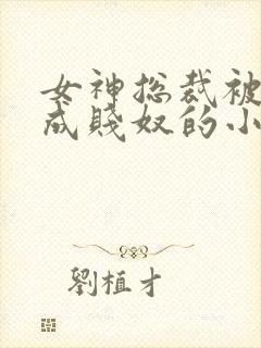 女神总裁被调教成贱奴的小说