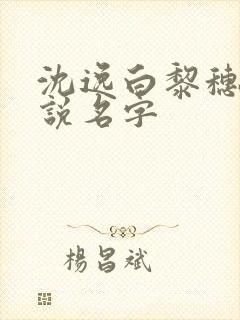 沈逸白黎穗穗小说名字