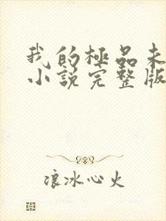 我的极品未婚妻小说完整版本