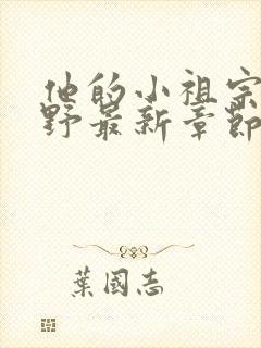 他的小祖宗甜又野最新章节