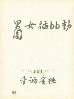 男女插bb动态图