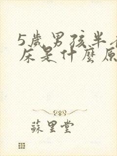 5岁男孩半夜尿床是什么原因